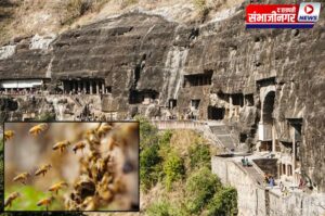 अजिंठा लेणी परिसरात मधमाशांचा पर्यटकांवर हल्ला; १०० ते १२० जण जखमी
