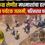 वेरूळ लेणीत मधमाशांचा हल्ला; 100 पर्यटक जखमी, परिसरात घबराट