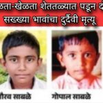खेळता-खेळता शेततळ्यात पडून दोन सख्ख्या भावांचा दुर्दैवी मृत्यू