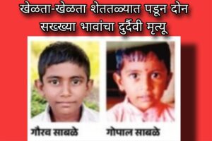 खेळता-खेळता शेततळ्यात पडून दोन सख्ख्या भावांचा दुर्दैवी मृत्यू
