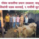 🚨 गोवंश कत्तलीचा प्रयत्न उधळला; वाळूज पोलिसांची धडक कारवाई, ९ गायींची सुटका