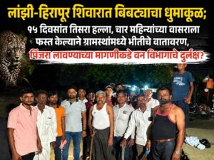 लांझी-हिरापूर शिवारात बिबट्याचा धुमाकूळ; १५ दिवसांत तिसरा हल्ला, चार महिन्यांच्या वासराला फस्त केल्याने ग्रामस्थांमध्ये भीतीचे वातावरण, पिंजरा लावण्याच्या मागणीकडे वन विभागाचे दुर्लक्ष?