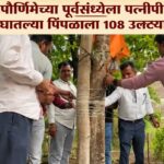 वटपौर्णिमेच्या पूर्वसंध्येला पत्नीपीडित पुरुषांनी घातल्या पिंपळाला 108 उलट्या प्रदक्षिणा