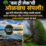 🌳 ‘वन ट्री लेक’ची ओळखच संपली! बुद्ध लेणी परिसरातील प्रसिद्ध एकाकी झाडाची अज्ञातांकडून तोड; संभाजीनगरकरांमध्ये संताप, पर्यावरणप्रेमींनी लावले नवे रोपटे