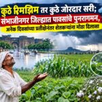 कुठे रिमझिम तर कुठे जोरदार सरी; संभाजीनगर जिल्ह्यात पावसाचे पुनरागमन, अनेक दिवसांच्या प्रतीक्षेनंतर शेतकऱ्यांना मोठा दिलासा
