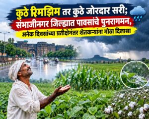 कुठे रिमझिम तर कुठे जोरदार सरी; संभाजीनगर जिल्ह्यात पावसाचे पुनरागमन, अनेक दिवसांच्या प्रतीक्षेनंतर शेतकऱ्यांना मोठा दिलासा