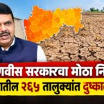 फडणवीस सरकारचा मोठा निर्णय; महाराष्ट्रातील २६५ तालुक्यांत दुष्काळ जाहीर