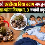 कन्नडमध्ये एरंडीच्या बिया बदाम समजून खाल्ल्या; 24 विद्यार्थ्यांना विषबाधा, 3 जणांची प्रकृती गंभीर
