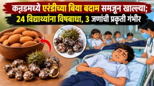 कन्नडमध्ये एरंडीच्या बिया बदाम समजून खाल्ल्या; 24 विद्यार्थ्यांना विषबाधा, 3 जणांची प्रकृती गंभीर